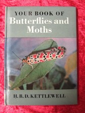 YOUR BOOK OF BUTTERFLIES AND