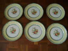 VILLEROY & BOCH SET 6 DINNER PLATES HOUSE GARDEN COLLECTION FRENCH VALENCE new