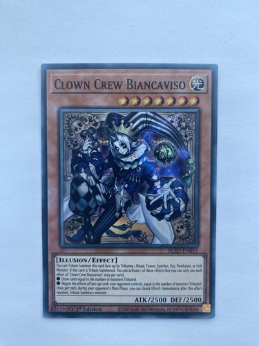 Clown crew biancaviso - clown,