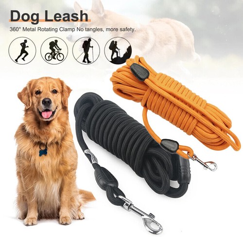 Pet dog training lead - dog,
