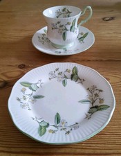 Queens Rosina Bone  China Cup