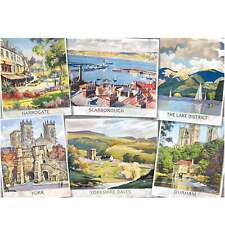 Falcon The Beautiful North Jigsaw Puzzle 1000 Pieces