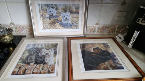 Limited edition frame - edition, &