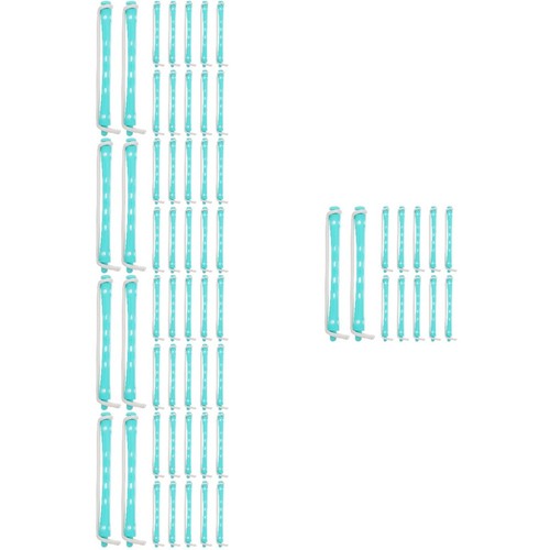 60pcs reusable hair rollers - 60pcs,
