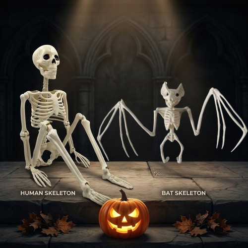 Halloween human bat skeleton - human,