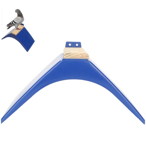 Pet pigeons cage rest - pigeons,