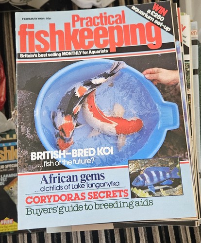 Practical fishkeeping magazine - fishkeeping,