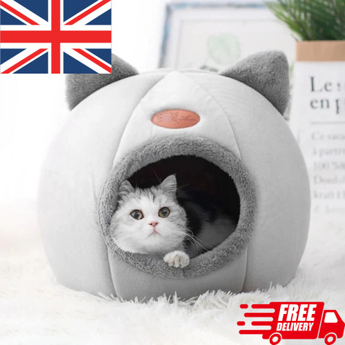 Deep sleep winter cat - deep,