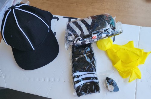 Referee halloween costume - referee,