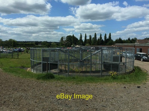 Photo 6x4 pachesham - photo, equestrian