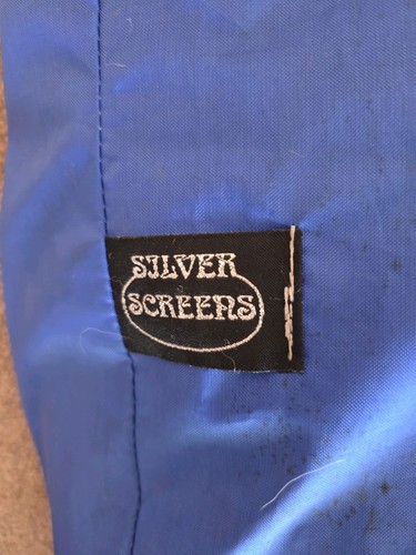 Silver screen motorhome - silver,