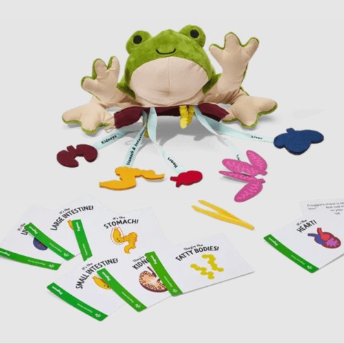 Kiwico froggie dissection lab - kiwico,