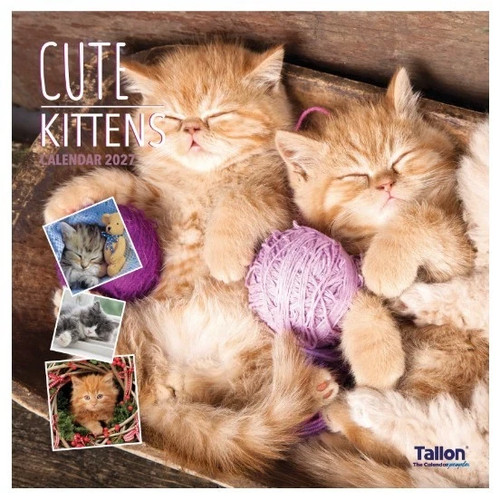 2027 kittens month - kittens, view