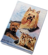 Yorkshire Terrier (Yorkie)