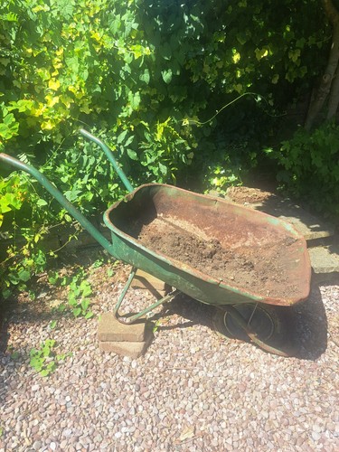 Wheelbarrow garden planter