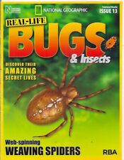 real-life bugs &