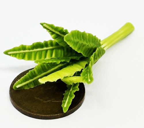 Dolls house green - plant, garden