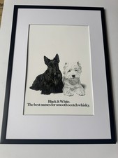 Framed scottie westie dogs - scottie,