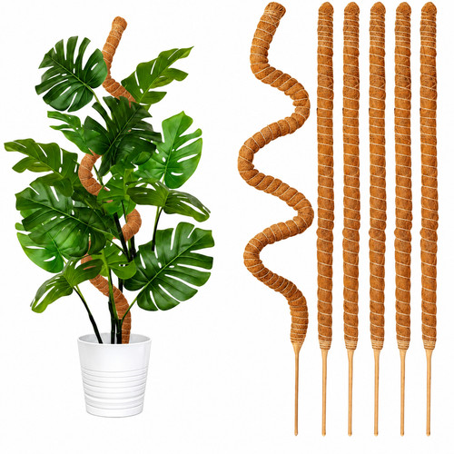 Bendable moss pole - pole, plant