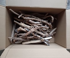 56 x Smaller Twig/ Branch