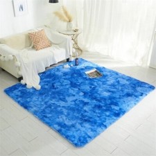 Fluffy Area Rug Cute Shag