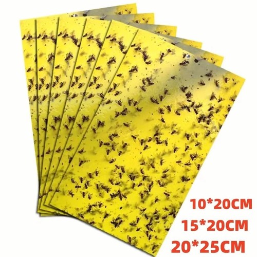 Yellow sticky fly - traps, double