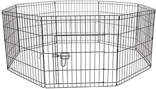 Pet dog pen - dog, puppy