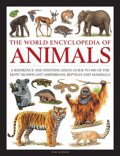 The world encyclopedia - world,