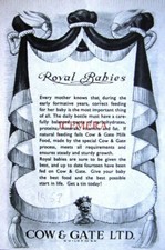 COW & GATE Baby Milk for Royals Advert - Small 1953 Print Ad