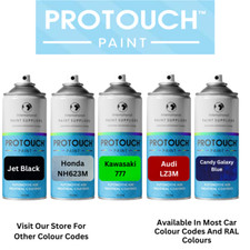 Custom Mixed Car Paint Aerosol