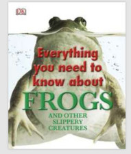 Everything You Need to Know