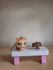 Littlest pet shops orange - pet,