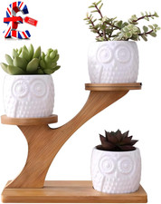 3Pack Succulent Pots,Owl