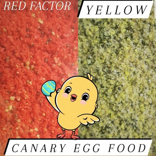 Fresh protein egg food all - fresh,