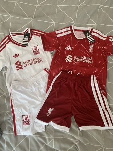 Liverpool home and - liverpool,