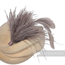 Ostrich & Stripped Coque