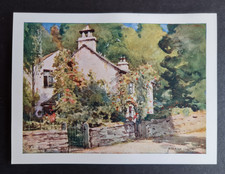 Antique 1908 print - Dove
