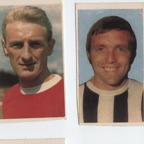Hotspur world cup stars - hotspur,