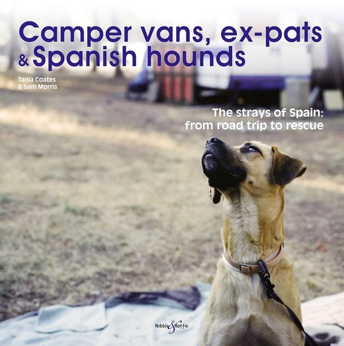 Camper vans pats and - camper,