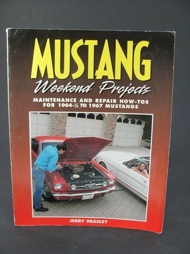 Mustang weekend projects - mustang,