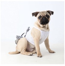  Puppia  Dog Dress Shirt