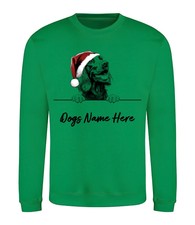 IRISH SETTER Personalised Christmas Dog Sweatshirt Adults Kids Sweater Jumper