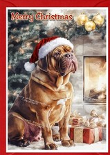 Dogue de Bordeaux Dog A6