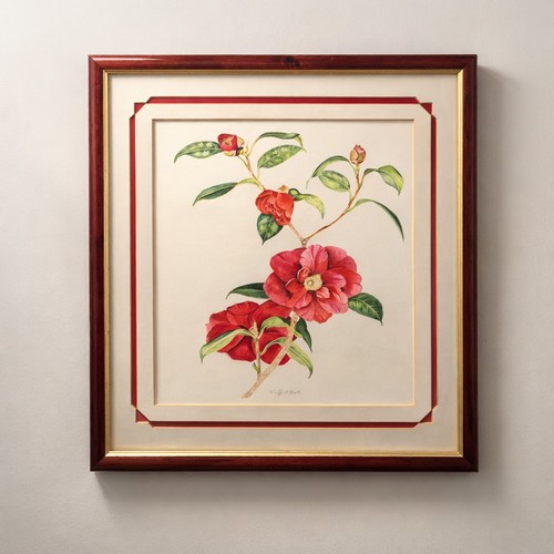 Original botanical watercolour - original,