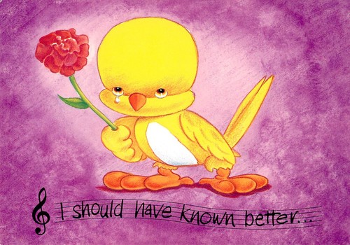Should have known - should, better