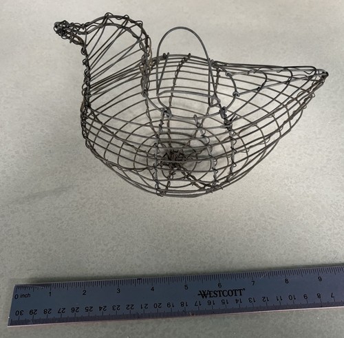 Antique pigeon egg collecting - egg,