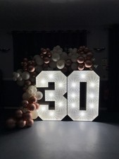 Light Up Numbers Led 30