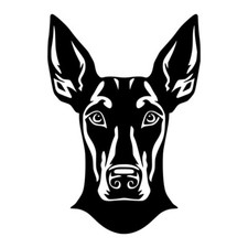 Doberman Dog Face Peeking Vinyl Decal Sticker Art Wall Home Various Colours