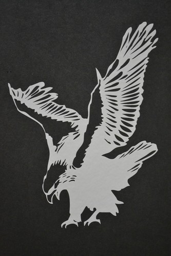 Bird of prey winged - 1,