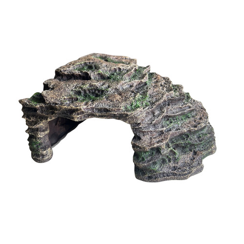 Aquarium fish tank - fish, ornament
